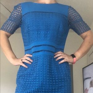 Antonio Melani Royal Blue Lace Sheath Dress